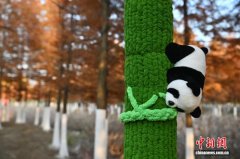 安徽合肥：树木“穿”卡通毛衣添趣又暖心